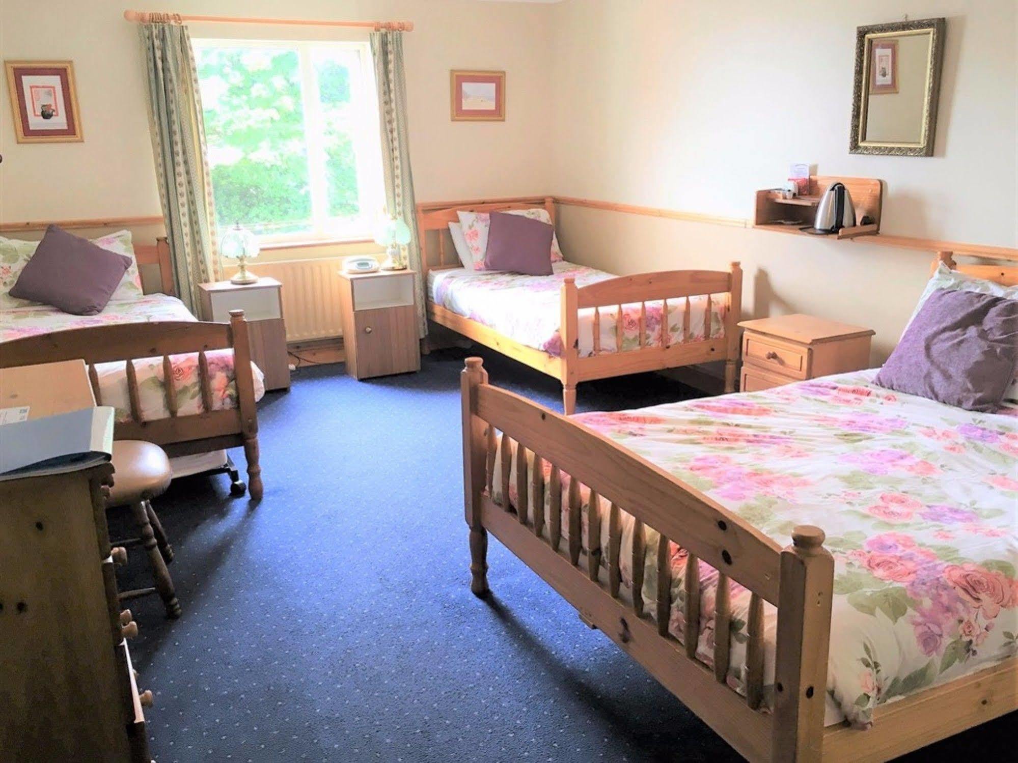O'Connor'S Guest House Dingle Luaran gambar